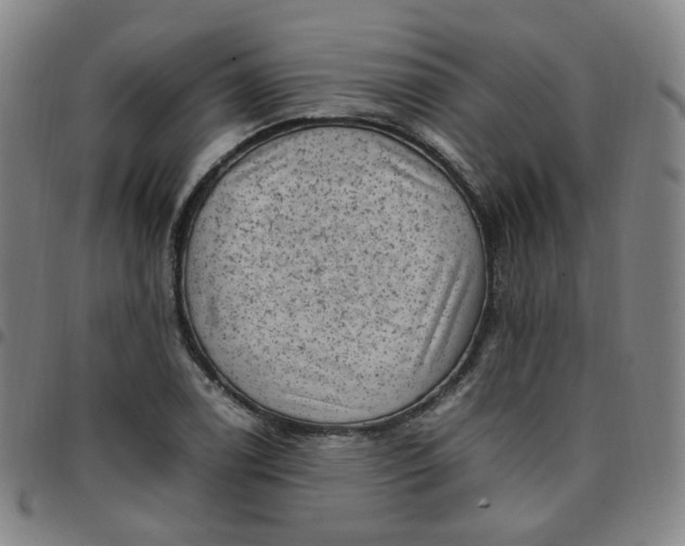 X0000097501122200803071756