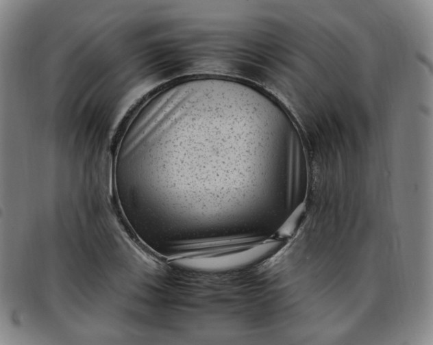 X0000097501123200803071756