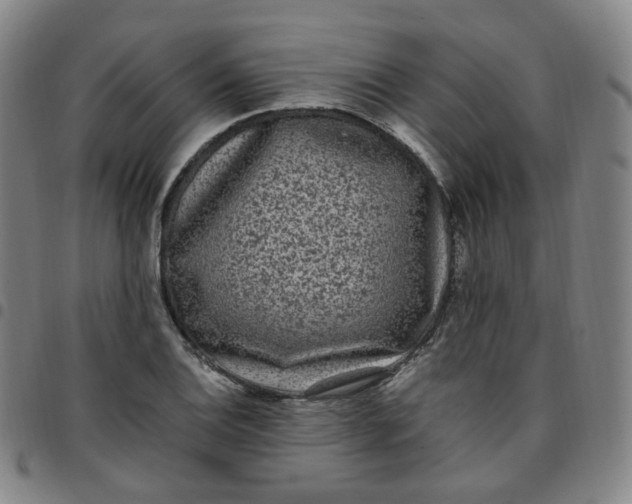 X0000097501124200803071756