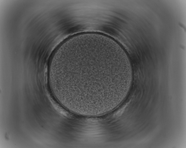 X0000097501126200803071756