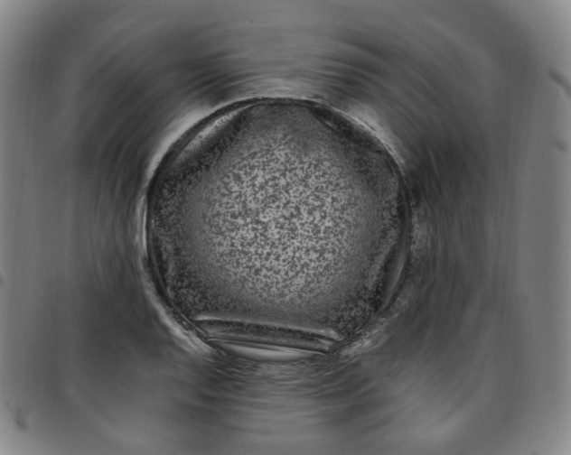 X0000097501128200803071756