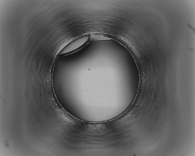X0000097501129200803071756