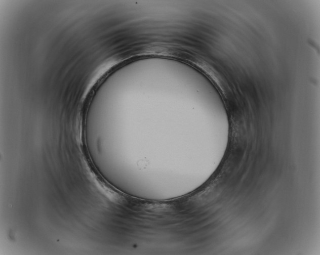 X0000097501131200803071756
