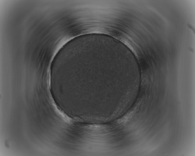 X0000097501132200803071756