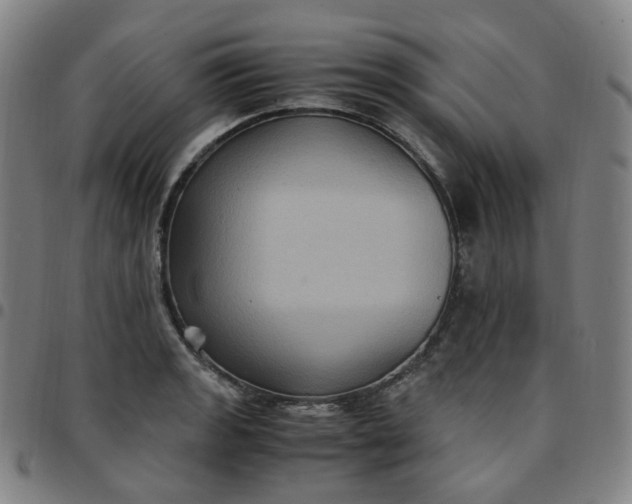 X0000097501133200803071756