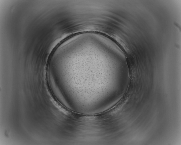X0000097501134200803071756