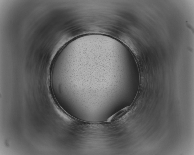 X0000097501136200803071756