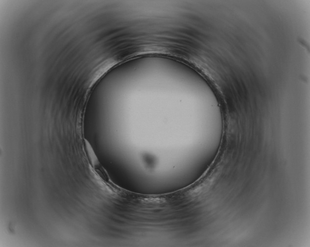 X0000097501137200803071756