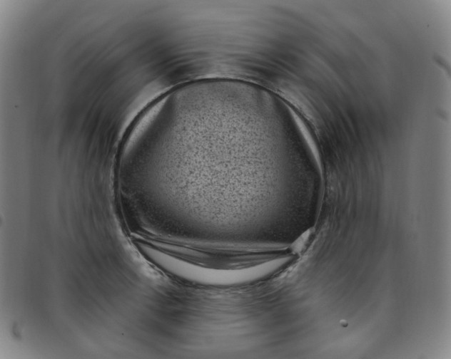 X0000097501138200803071756
