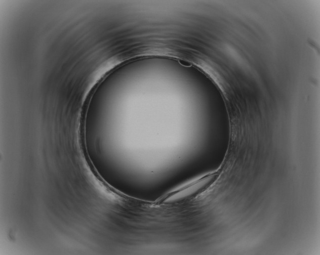 X0000097501139200803071756