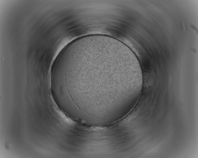 X0000097501140200803071756