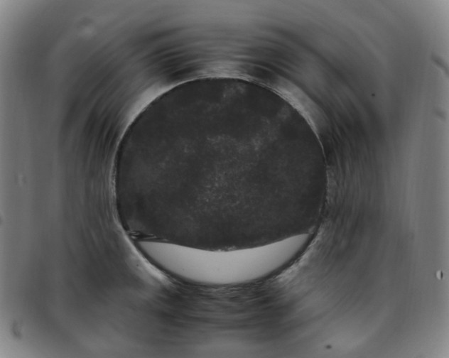 X0000097501141200803071756