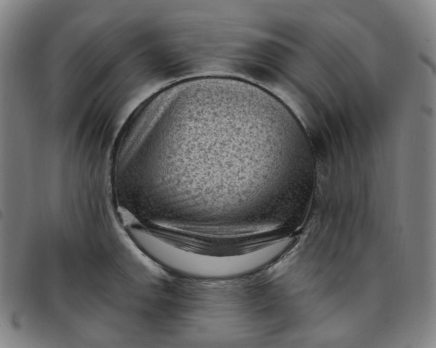 X0000097501142200803071756