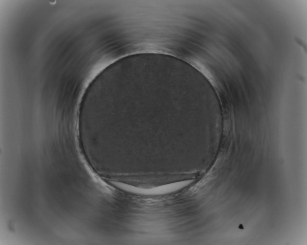 X0000097501144200803071756