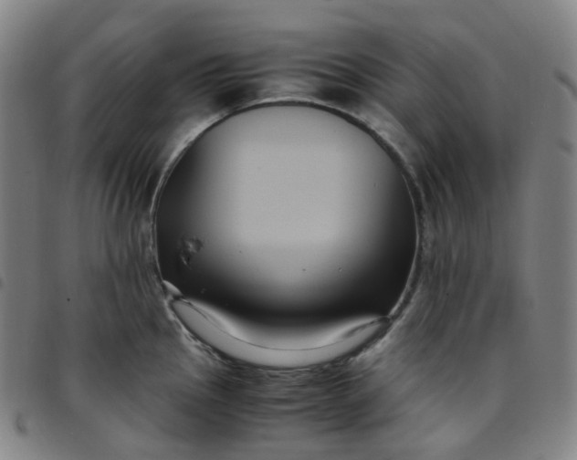X0000097501145200803071756