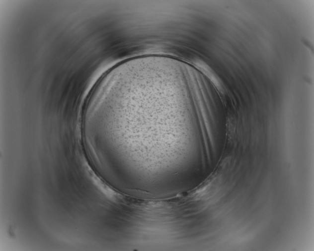 X0000097501148200803071756