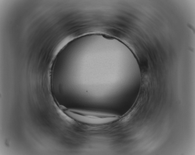 X0000097501151200803071756