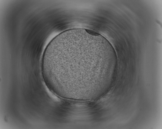 X0000097501152200803071756