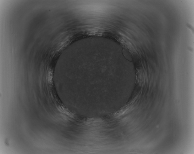 X0000097501154200803071755