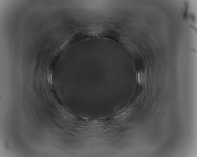 X0000097501155200803071755