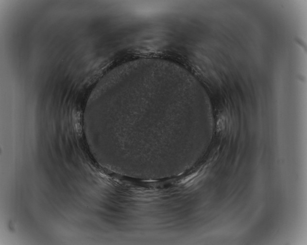 X0000097501156200803071755