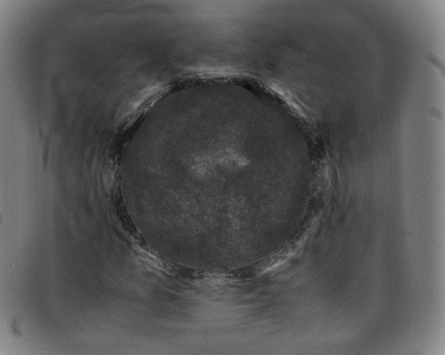 X0000097501157200803071755