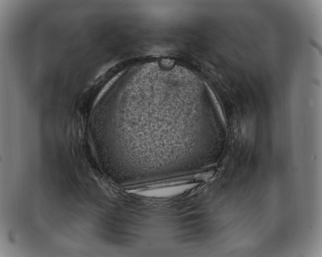 X0000097501158200803071755
