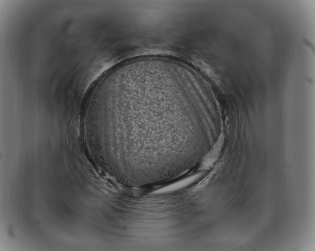X0000097501165200803071755