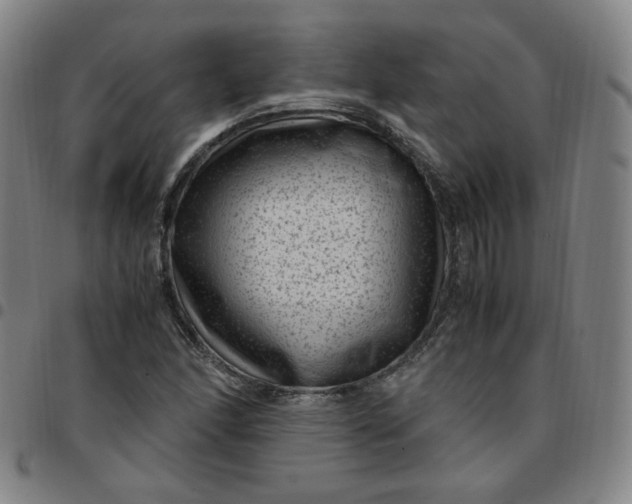 X0000097501166200803071755
