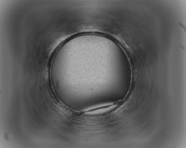 X0000097501167200803071755