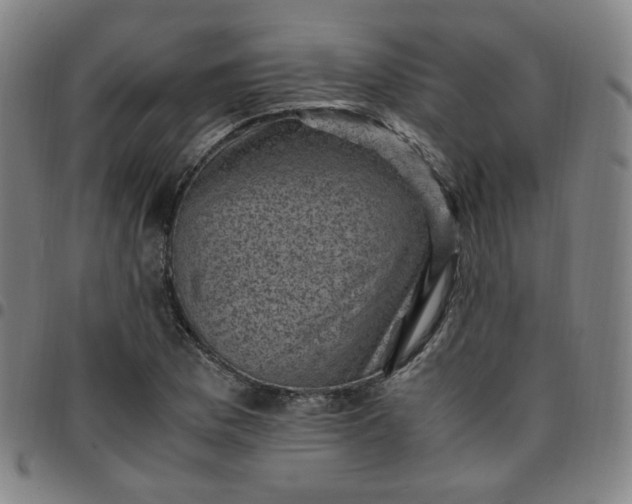 X0000097501169200803071755
