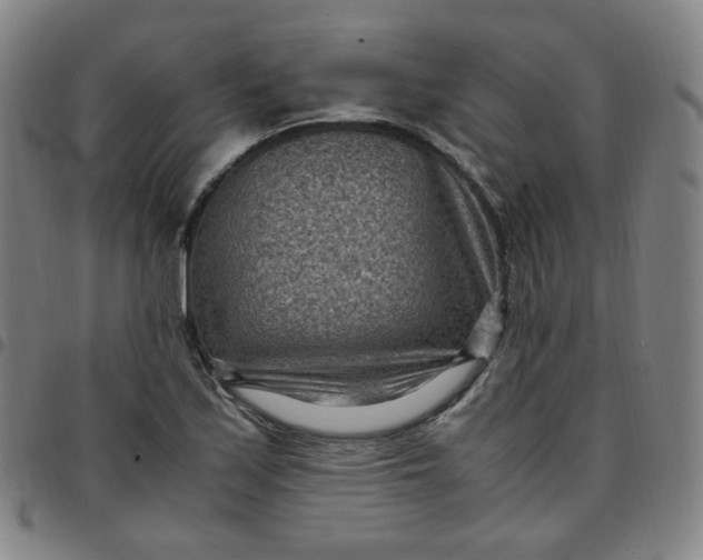 X0000097501171200803071755
