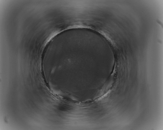 X0000097501173200803071755