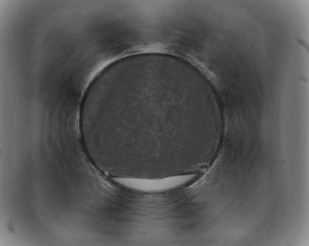 X0000097501174200803071755