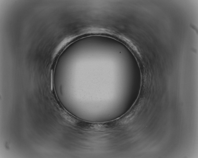 X0000097501175200803071755