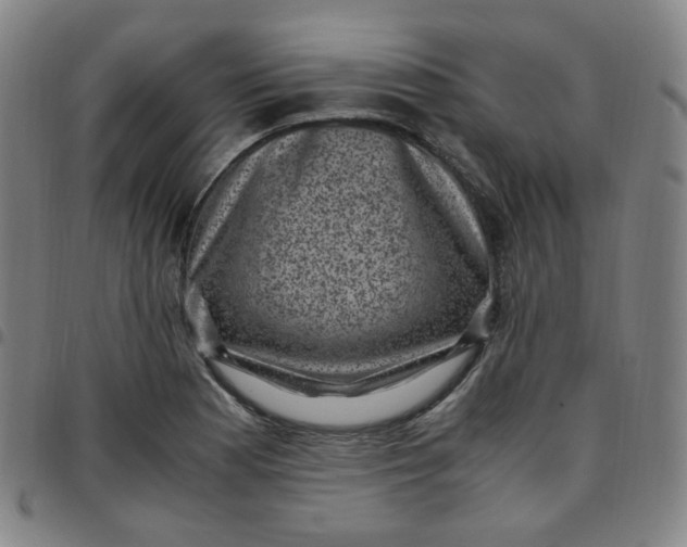 X0000097501177200803071755