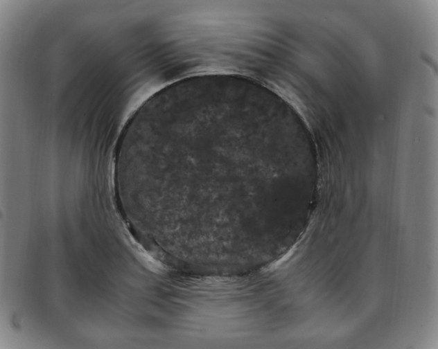 X0000097501179200803071755