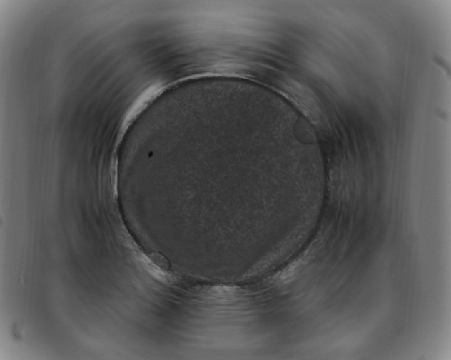 X0000097501180200803071755