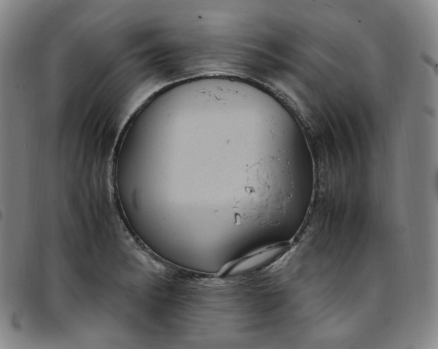 X0000097501182200803071755