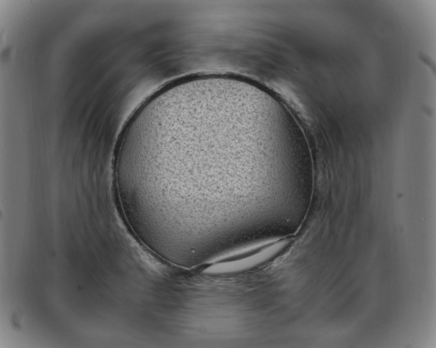 X0000097501183200803071755