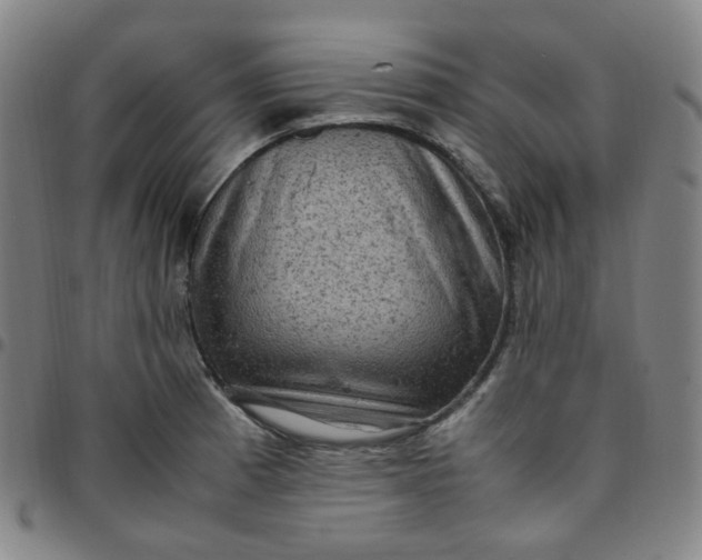 X0000097501185200803071755