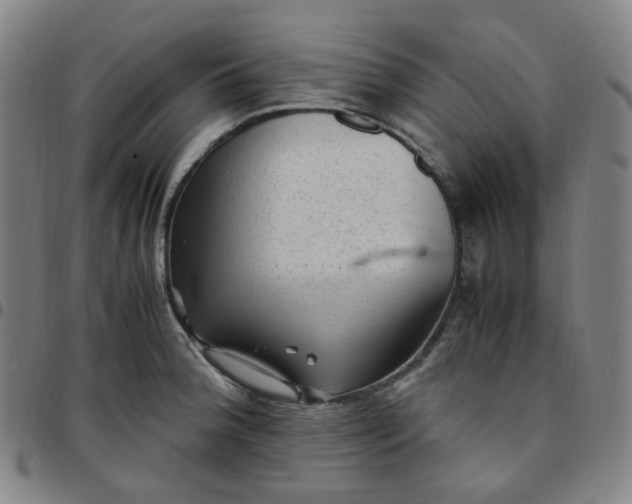 X0000097501188200803071755