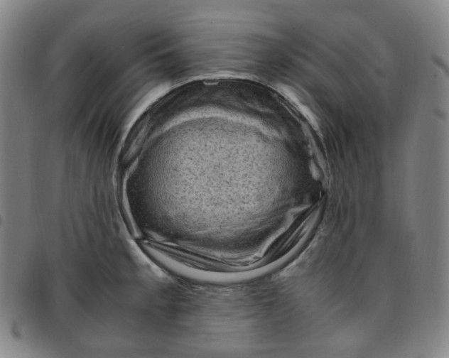 X0000097501189200803071755