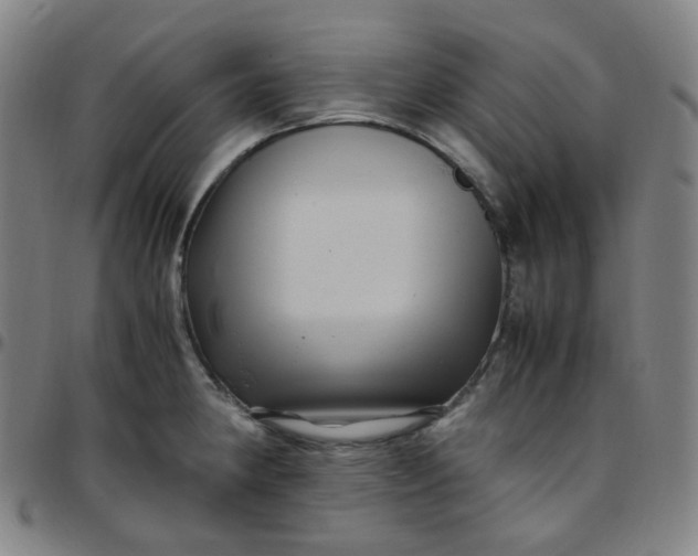 X0000097501190200803071755