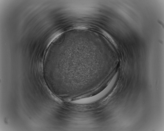 X0000097501194200803071755