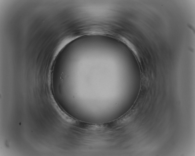 X0000097501195200803071755