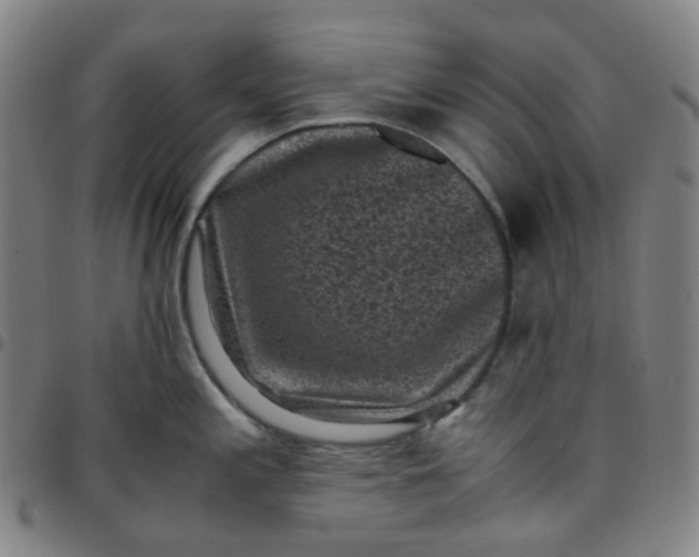 X0000097501197200803071755