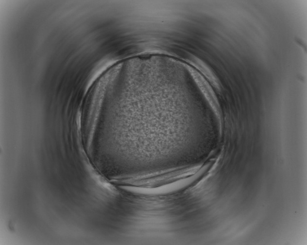 X0000097501198200803071755