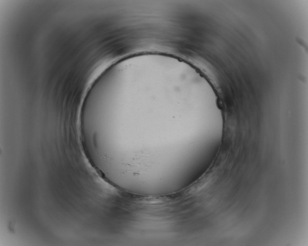 X0000097501199200803071755