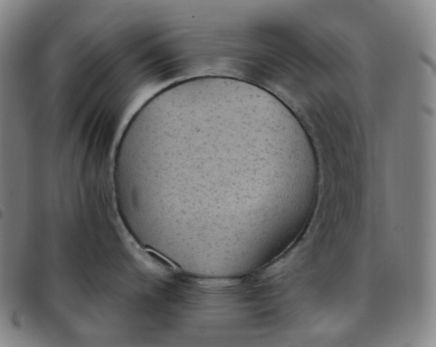 X0000097501200200803071755